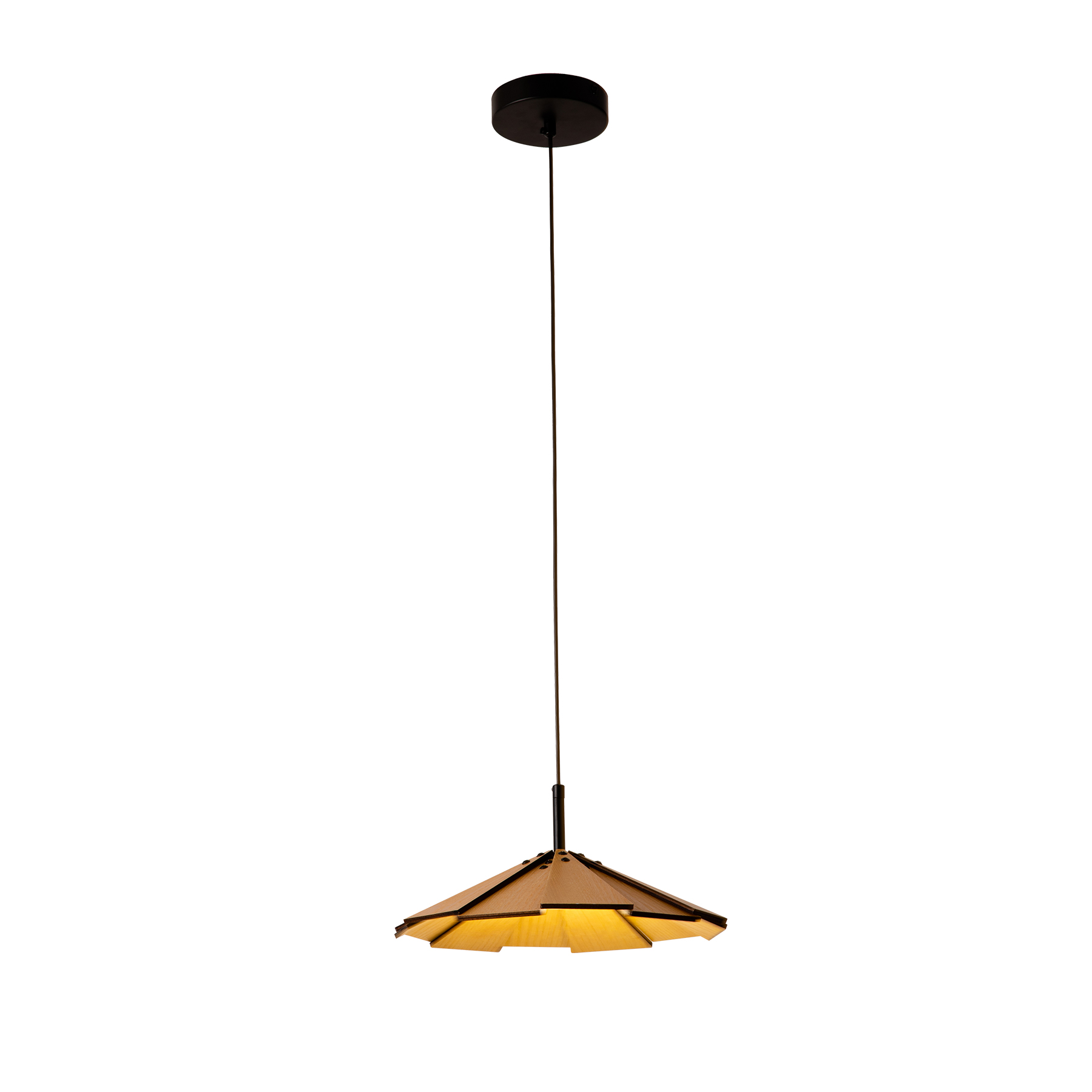 2024 new Wood design single pendant 3000K LED